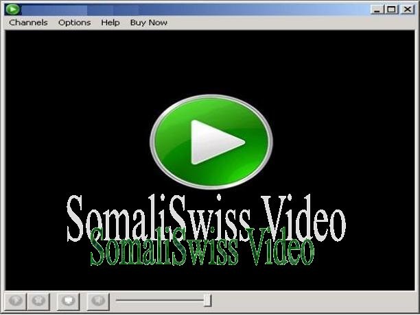 SomaliSwiss Video